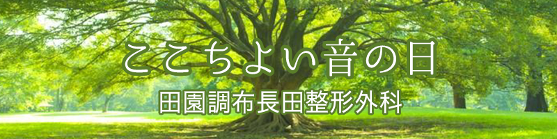ここちよい音の日